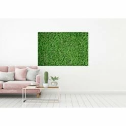 A.S. Creation | AP Digital 4 | DD108835 | Fototapete | Vlies | Versch. Größen | Wald & Pflanzen -Profistuck Verkäufe 108835 M 1 1280x1280