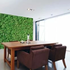 A.S. Creation | AP Digital 4 | DD108835 | Fototapete | Vlies | Versch. Größen | Wald & Pflanzen