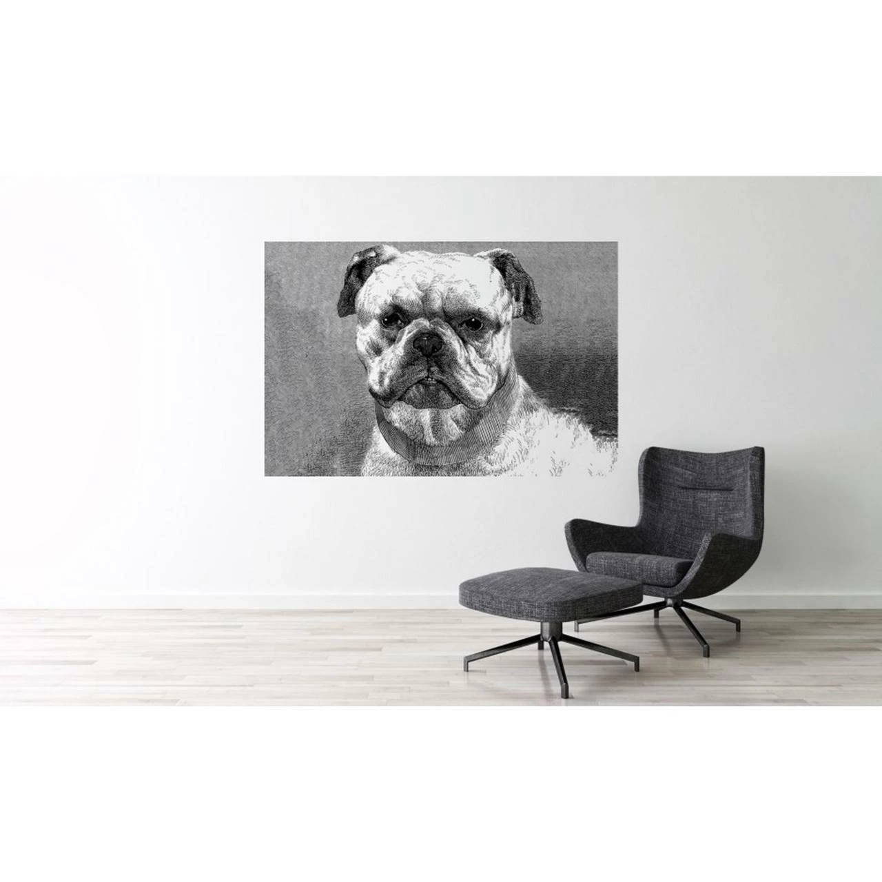 A.S. Creation | AP Digital 4 | DD108930 | Fototapete | Vlies | Versch. Größen | Tiere | Grau 5 A.S. Creation | AP Digital 4 | DD108930 | Fototapete | Vlies | Versch. Größen | Tiere | Grau – Bild 3