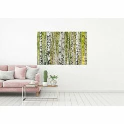 A.S. Creation | AP Digital 4 | DD109165 | Fototapete | Vlies | Versch. Größen | Wald & Pflanzen -Profistuck Verkäufe 109165 M 1 2 1280x1280