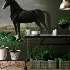 A.S. Creation | Walls By Patel 1 | DD110666 | Fototapete | Vlies | Versch. Größen | Gemälde | Grün