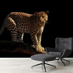 A.S. Creation | XXL 5 | DD114652 | Fototapete | Vlies | Versch. Größen | Tiere | Schwarz