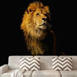 A.S. Creation | XXL 5 | DD114660 | Fototapete | Vlies | Versch. Größen | Tiere | Schwarz