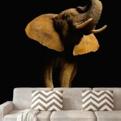 A.S. Creation | XXL 5 | DD114672 | Fototapete | Vlies | Versch. Größen | Tiere | Schwarz