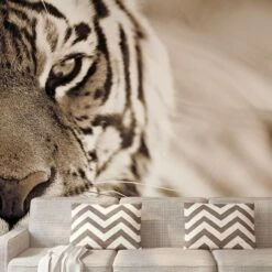 A.S. Creation | XXL 5 | DD114684 | Fototapete | Vlies | Versch. Größen | Tiere | Beige