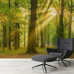 A.S. Creation | XXL 5 | DD114984 | Fototapete | Vlies | Versch. Größen | Wald & Pflanzen | Grün