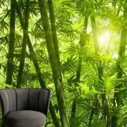 A.S. Creation | XXL 5 | DD115004 | Fototapete | Vlies | Versch. Größen | Wald & Pflanzen | Grün