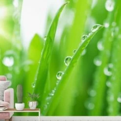 A.S. Creation | XXL 5 | DD115012 | Fototapete | Vlies | Versch. Größen | Wald & Pflanzen | Grün