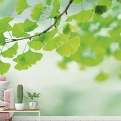 A.S. Creation | XXL 5 | DD115069 | Fototapete | Vlies | Versch. Größen | Wald & Pflanzen | Grün