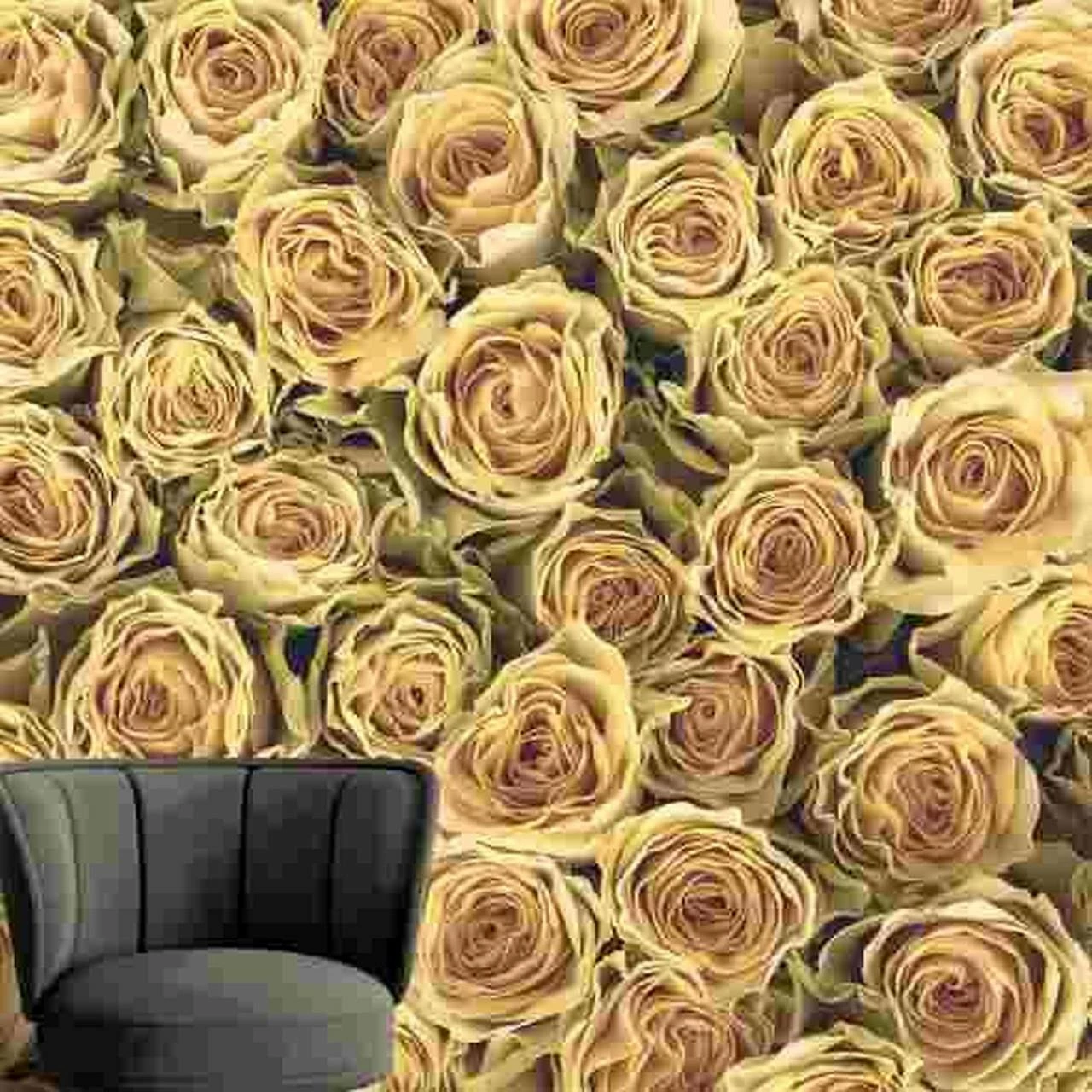 A.S. Creation | XXL 5 | DD115083 | Fototapete | Vlies | Versch. Größen | Wald & Pflanzen | Gelb 3 A.S. Creation | XXL 5 | DD115083 | Fototapete | Vlies | Versch. Größen | Wald & Pflanzen | Gelb