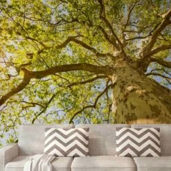 A.S. Creation | XXL 5 | DD115124 | Fototapete | Vlies | Versch. Größen | Wald & Pflanzen | Grün