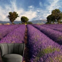 A.S. Creation | XXL 5 | DD115150 | Fototapete | Vlies | Versch. Größen | Wald & Pflanzen | Violett