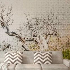 A.S. Creation | Atelier 47 | DD116890 | Fototapete | Vlies | 600 X 270 Cm | Wald & Pflanzen | Grün