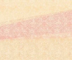 Titelseite -Profistuck Verkäufe 117445 Haupt2 1 1280x1280