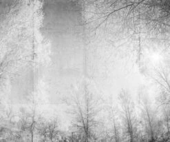 A.S. Creation | Atelier 47 | DD118020 | Fototapete | Vlies | 400 X 270 Cm | Wald & Pflanzen | Grau -Profistuck Verkäufe 118020 Haupt2 1 1280x1280