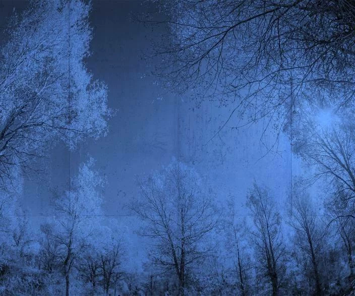 A.S. Creation | Atelier 47 | DD118025 | Fototapete | Vlies | 400 X 270 Cm | Wald & Pflanzen | Blau 4 A.S. Creation | Atelier 47 | DD118025 | Fototapete | Vlies | 400 X 270 Cm | Wald & Pflanzen | Blau – Bild 2