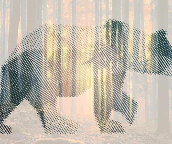 A.S. Creation | Atelier 47 | DD118115 | Fototapete | Vlies | 400 X 270 Cm | Wald & Pflanzen | Orange 4 A.S. Creation | Atelier 47 | DD118115 | Fototapete | Vlies | 400 X 270 Cm | Wald & Pflanzen | Orange – Bild 2