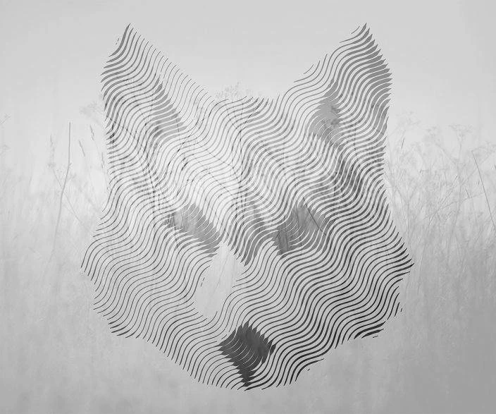 A.S. Creation | Atelier 47 | DD118160 | Fototapete | Vlies | 400 X 270 Cm | Tiere | Grau 4 A.S. Creation | Atelier 47 | DD118160 | Fototapete | Vlies | 400 X 270 Cm | Tiere | Grau – Bild 2