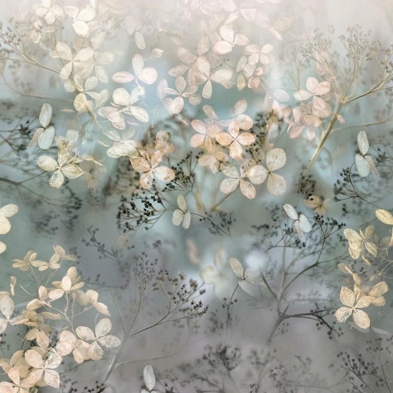Erismann | Art Edition | 2236-20 | Fototapete | Vlies | 270 X 400 Cm | Blumen & Floral | Beige 3 Erismann | Art Edition | 2236-20 | Fototapete | Vlies | 270 X 400 Cm | Blumen & Floral | Beige