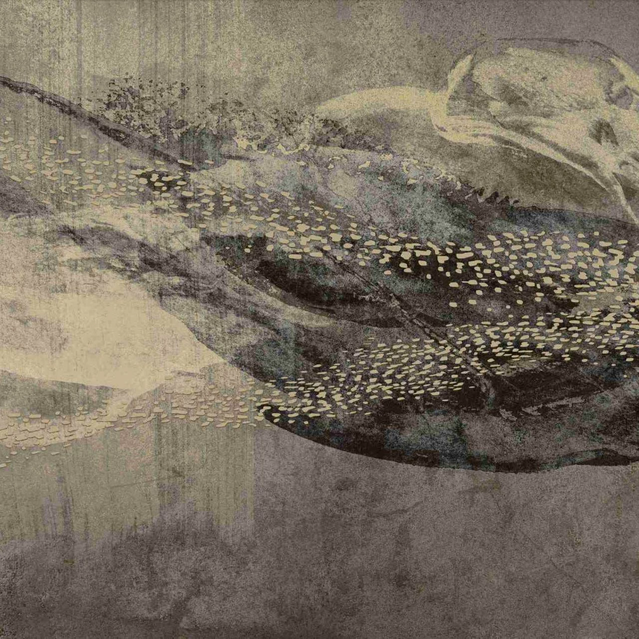 Erismann | Art Edition | 2237-10 | Fototapete | Vlies | 270 X 400 Cm | Tiere | Gold 3 Erismann | Art Edition | 2237-10 | Fototapete | Vlies | 270 X 400 Cm | Tiere | Gold