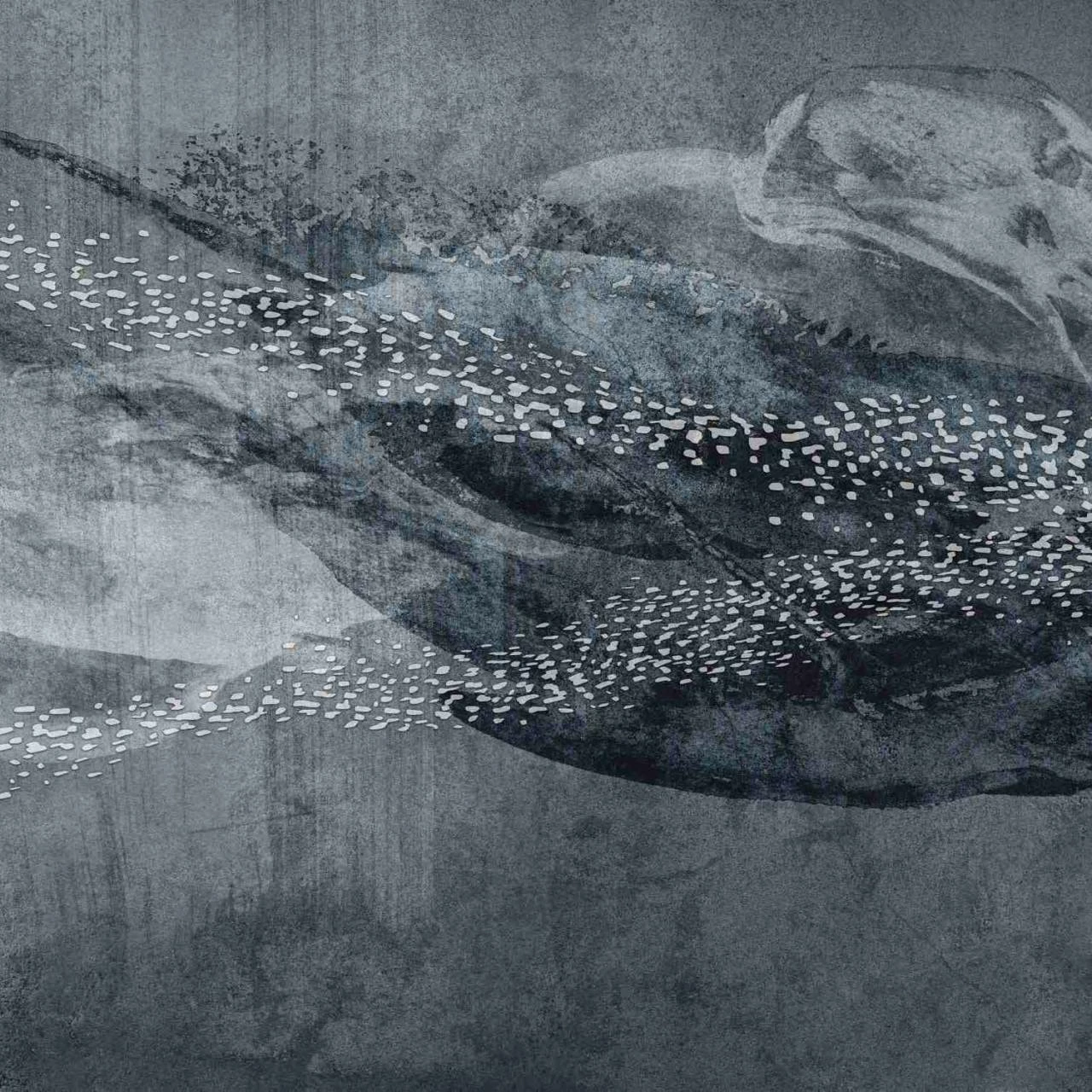 Erismann | Art Edition | 2237-20 | Fototapete | Vlies | 270 X 400 Cm | Tiere | Silber 3 Erismann | Art Edition | 2237-20 | Fototapete | Vlies | 270 X 400 Cm | Tiere | Silber