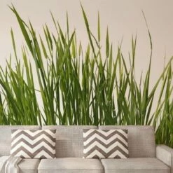 A.S. Creation | AP Digital 3 | AS471824 | Fototapete | Vlies | 400 X 270 Cm | Wald & Pflanzen | Grün