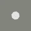 Mardom Rosette / Deckenkuppel B3021 Profoam 160 X 16 X 160 Mm Weiß Stuckrosette Deckenrosette Rund 1 Mardom Rosette / Deckenkuppel B3021 Profoam 160 X 16 X 160 Mm Weiß Stuckrosette Deckenrosette Rund -Profistuck Verkäufe B3021 01 1280x1280