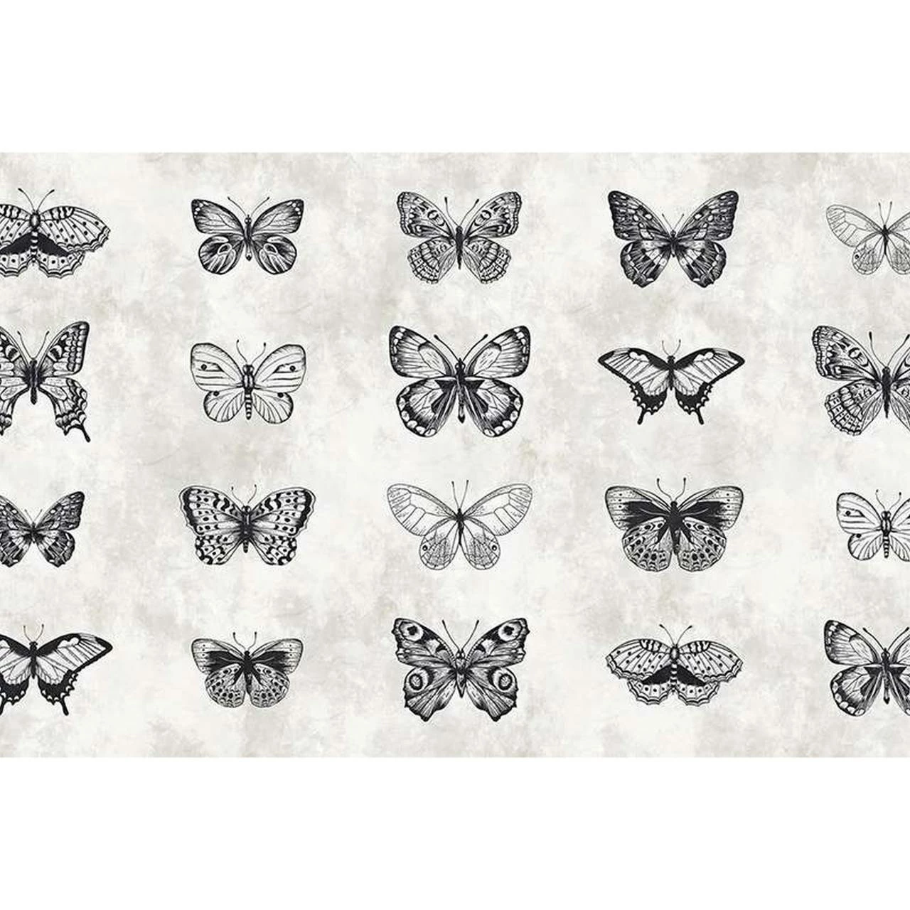 A.S. Creation | Walls By Patel 1 | DD110361 | Fototapete | Vlies | Versch. Größen | Tiere 4 A.S. Creation | Walls By Patel 1 | DD110361 | Fototapete | Vlies | Versch. Größen | Tiere – Bild 2