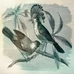 A.S. Creation | Walls By Patel 1 | DD110431 | Fototapete | Vlies | Versch. Größen | Tiere | Blau