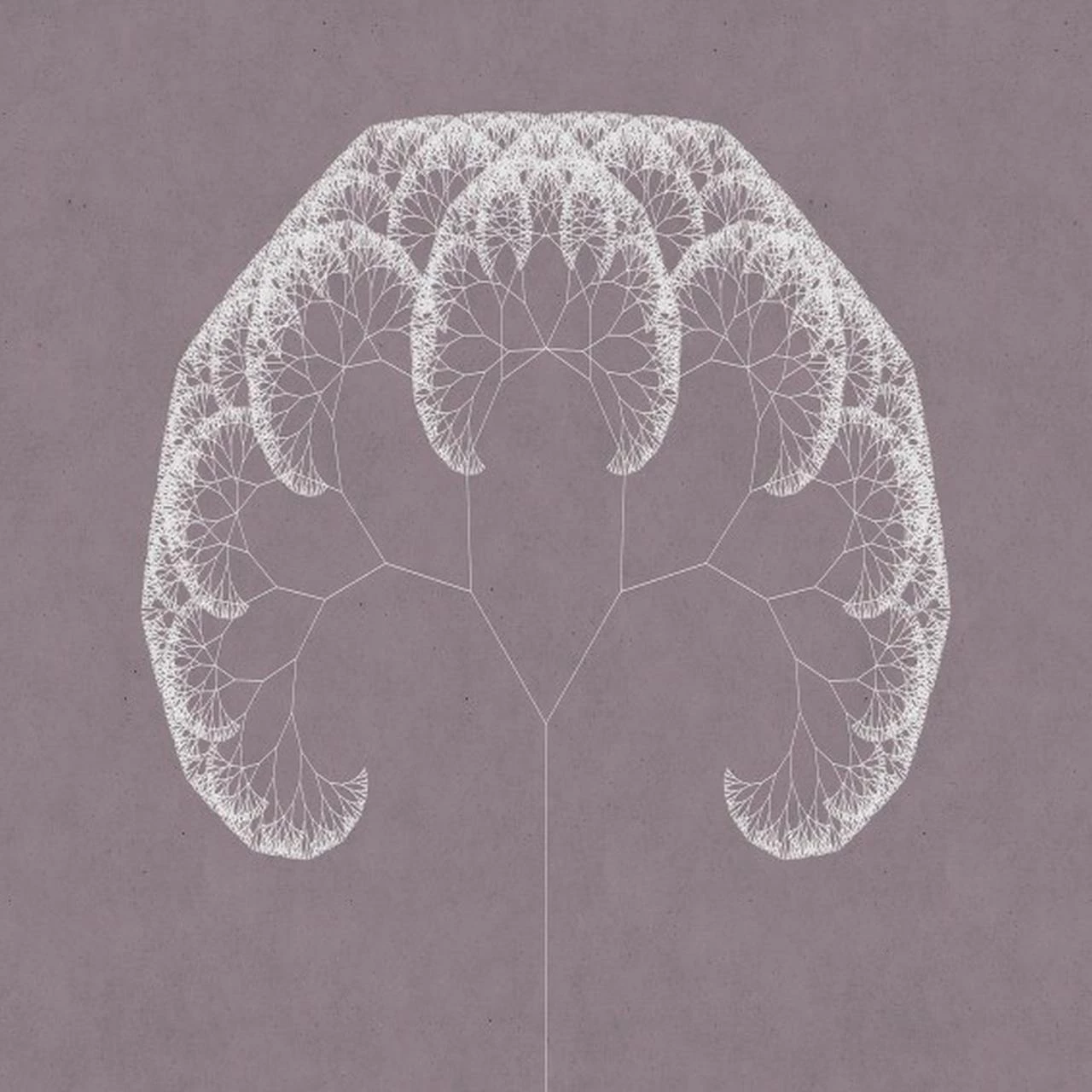 A.S. Creation | Walls By Patel 1 | DD110861 | Fototapete | Vlies | Versch. Größen | Wald & Pflanzen 3 A.S. Creation | Walls By Patel 1 | DD110861 | Fototapete | Vlies | Versch. Größen | Wald & Pflanzen