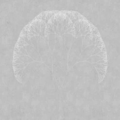 A.S. Creation | Walls By Patel 1 | DD110876 | Fototapete | Vlies | Versch. Größen | Wald & Pflanzen