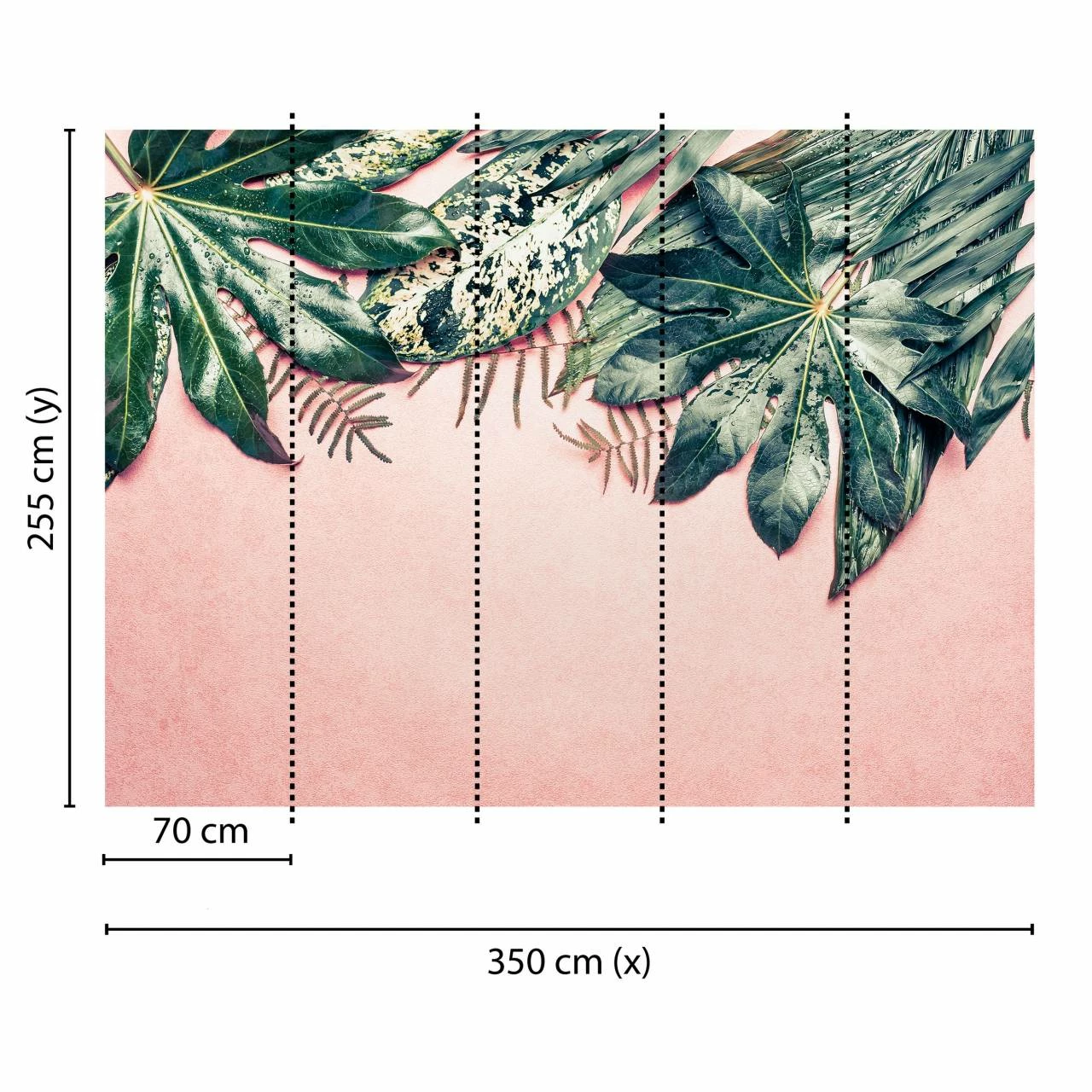 A.S. Creation | Designwalls | DD118548 | Fototapete | Vlies | 350 X 255 Cm | Natur | Beige | Weiß 5 A.S. Creation | Designwalls | DD118548 | Fototapete | Vlies | 350 X 255 Cm | Natur | Beige | Weiß – Bild 3