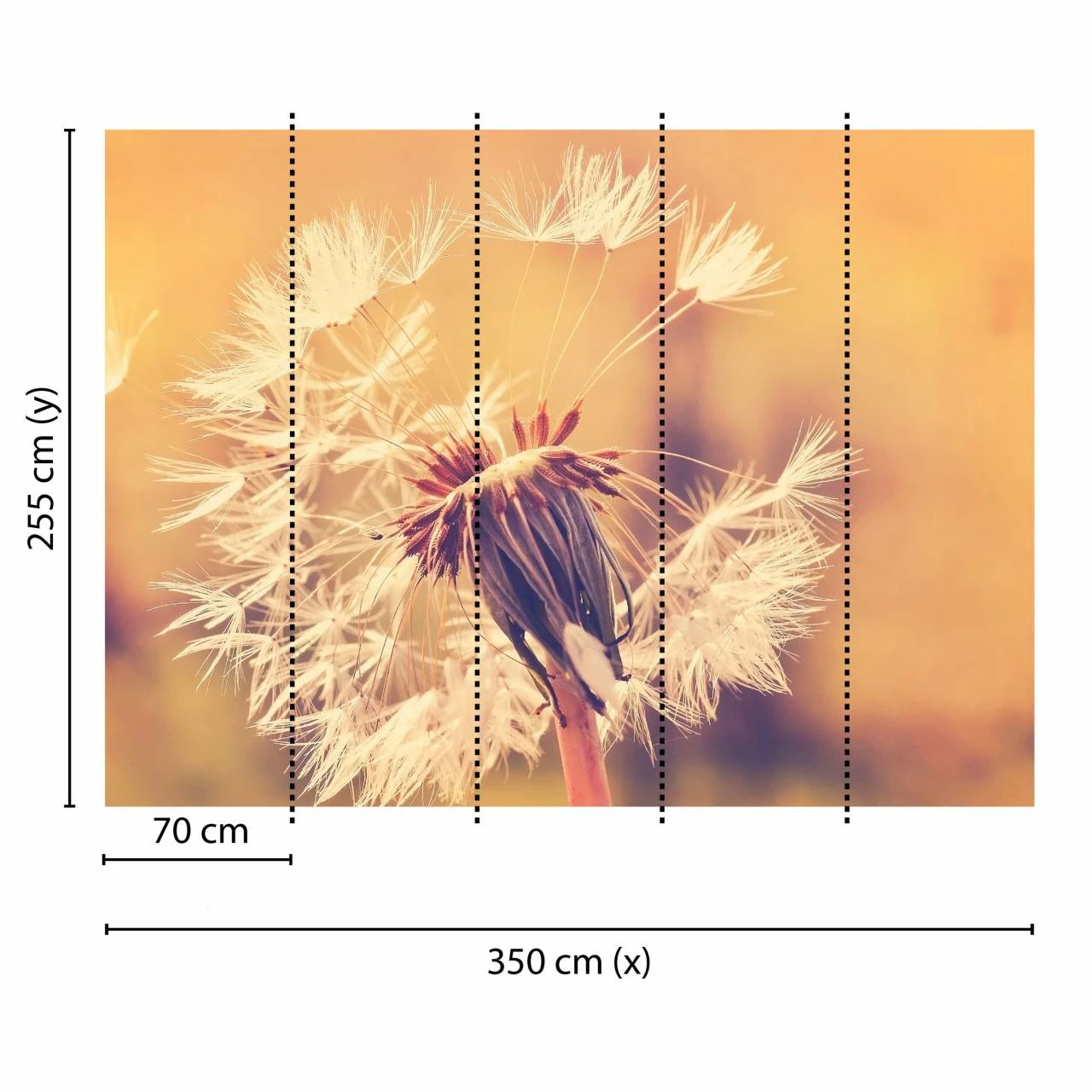 A.S. Creation | Designwalls | DD118594 | Fototapete | Vlies | 350 X 255 Cm | Wald & Pflanzen 5 A.S. Creation | Designwalls | DD118594 | Fototapete | Vlies | 350 X 255 Cm | Wald & Pflanzen – Bild 3