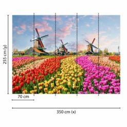 A.S. Creation | Designwalls | DD118694 | Fototapete | Vlies | 350 X 255 Cm | Wald & Pflanzen | Bunt 8 A.S. Creation | Designwalls | DD118694 | Fototapete | Vlies | 350 X 255 Cm | Wald & Pflanzen | Bunt -Profistuck Verkäufe DD118694 1 1280x1280