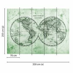 A.S. Creation | Designwalls | DD118704 | Fototapete | Vlies | 350 X 255 Cm | Weltkarte | Grau | Grün -Profistuck Verkäufe DD118704 1 1280x1280