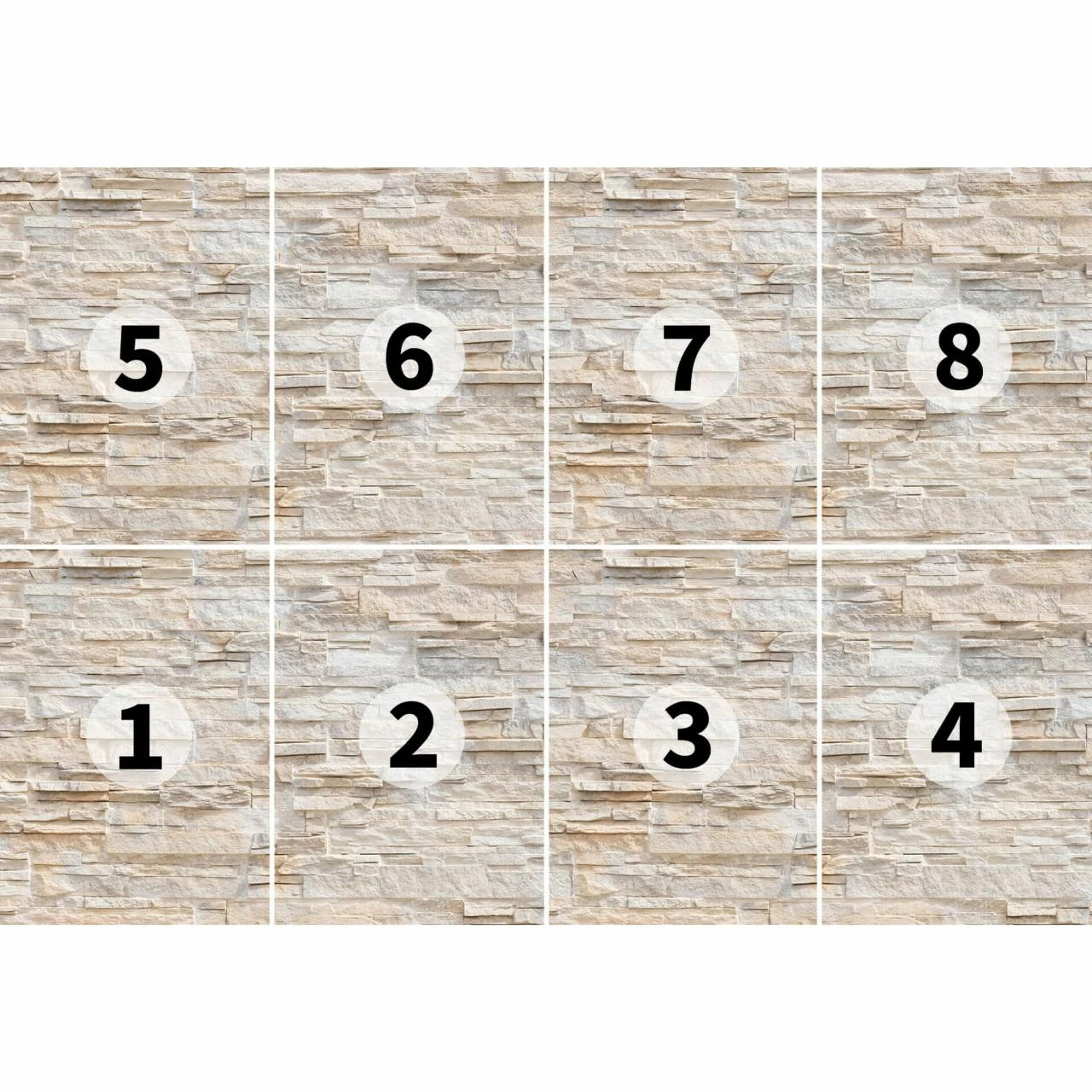 A.S. Creation | Designwalls 2.0 | DD118850 | Fototapete | Vlies | 366 X 254 Cm | Kinderzimmer 5 A.S. Creation | Designwalls 2.0 | DD118850 | Fototapete | Vlies | 366 X 254 Cm | Kinderzimmer – Bild 3