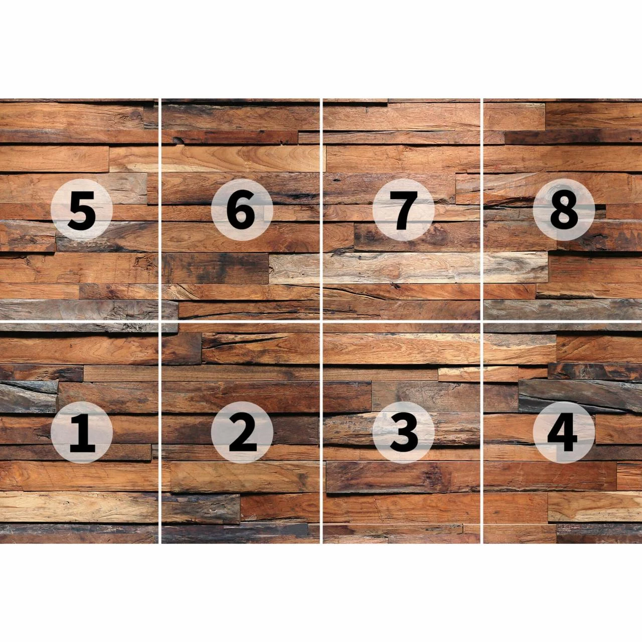 A.S. Creation | Designwalls 2.0 | DD118854 | Fototapete | Vlies | 366 X 254 Cm | Kinderzimmer 5 A.S. Creation | Designwalls 2.0 | DD118854 | Fototapete | Vlies | 366 X 254 Cm | Kinderzimmer – Bild 3