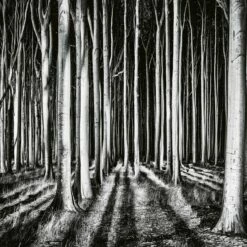 A.S. Creation | Designwalls 2.0 | DD118939 | Fototapete | Vlies | 384 X 260 Cm