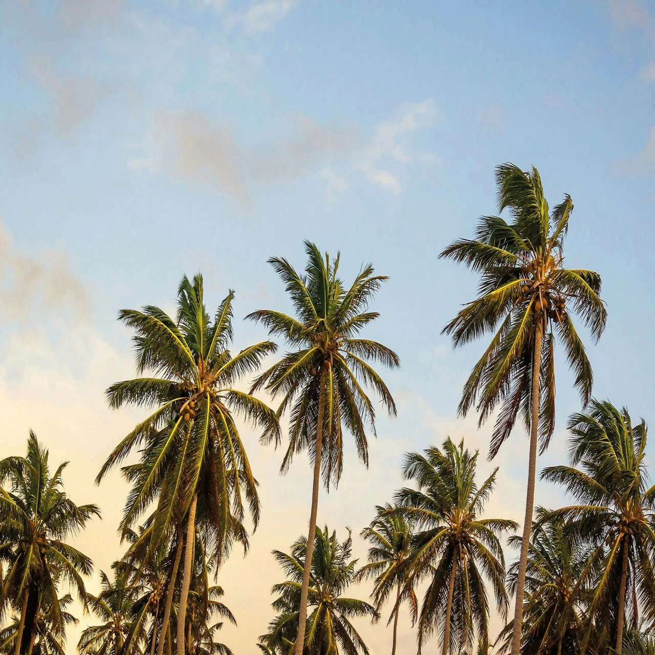 A.S. Creation | Designwalls 2.0 | DD119041 | Fototapete | Vlies | 384 X 260 Cm | Natur | Bunt 3 A.S. Creation | Designwalls 2.0 | DD119041 | Fototapete | Vlies | 384 X 260 Cm | Natur | Bunt