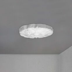 PROVISTON | Gips Rosette Birmingham | Echter Gipsstuck | Ø14cm | Stuckrosette -Profistuck Verkäufe FL99 4 1280x1280