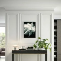 PROVISTON | Stuckleiste "NE111" | 62 X 92 X 2000 Mm | Weiß | Deckenleiste | Wohndekoration -Profistuck Verkäufe MBD111T 3 1280x1280