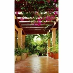 Dimex | Dimex Line | MS-2-0045 | Fototapete | Vlies | Versch. Größen | Architektur & Gebäude | Grün