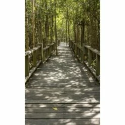 Dimex | Dimex Line | MS-2-0059 | Fototapete | Vlies | Versch. Größen | Wald & Pflanzen | Grün