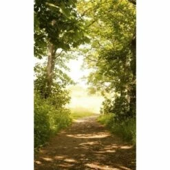 Dimex | Dimex Line | MS-2-0093 | Fototapete | Vlies | Versch. Größen | Wald & Pflanzen | Grün