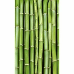 Dimex | Dimex Line | MS-2-0165 | Fototapete | Vlies | Versch. Größen | Wald & Pflanzen | Grün