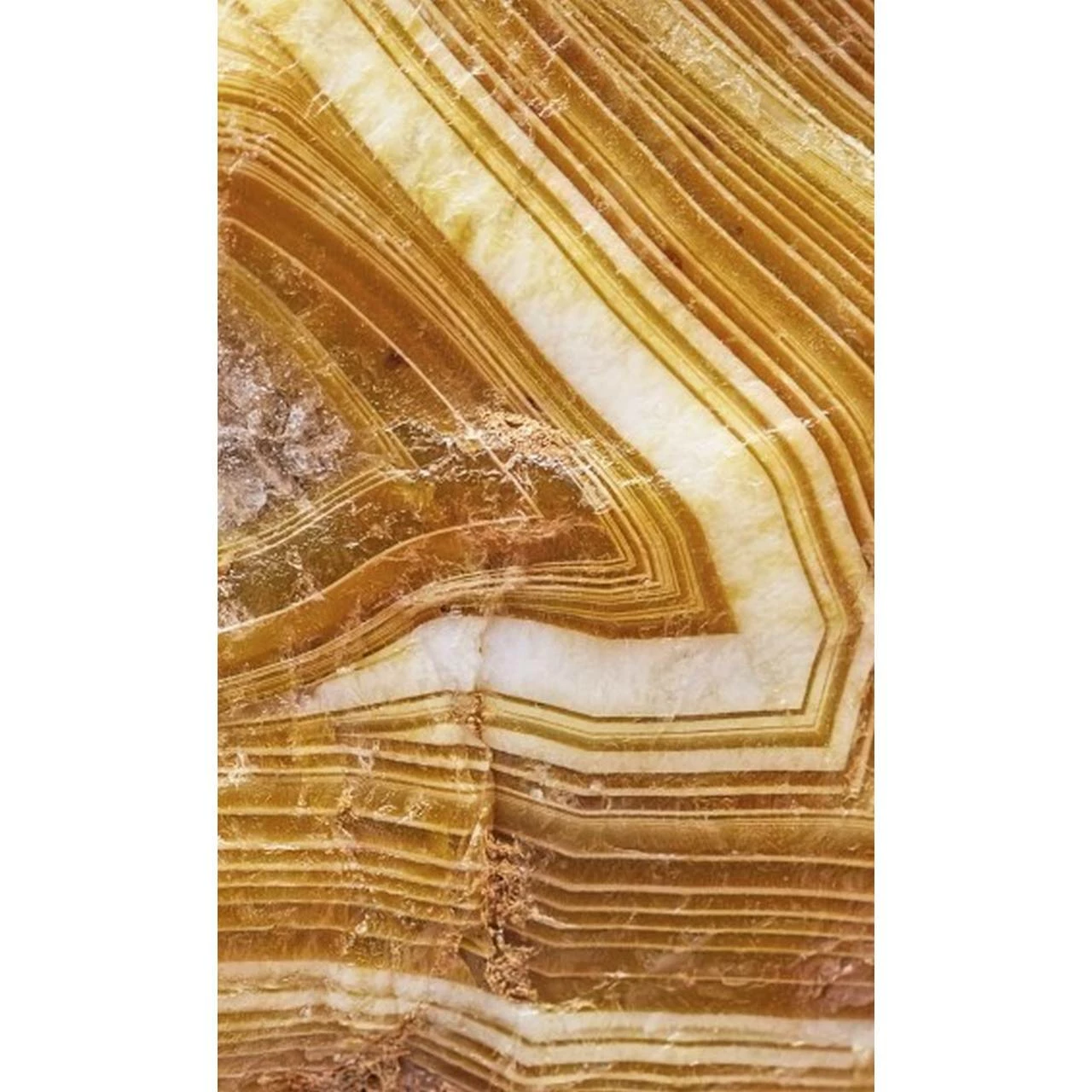 Dimex | Dimex Line | MS-2-0180 | Fototapete | Vlies | Versch. Größen | Stein & Beton | Orange 3 Dimex | Dimex Line | MS-2-0180 | Fototapete | Vlies | Versch. Größen | Stein & Beton | Orange