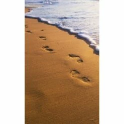 Dimex | Dimex Line | MS-2-0193 | Fototapete | Vlies | Versch. Größen | Strand & Meer | Braun