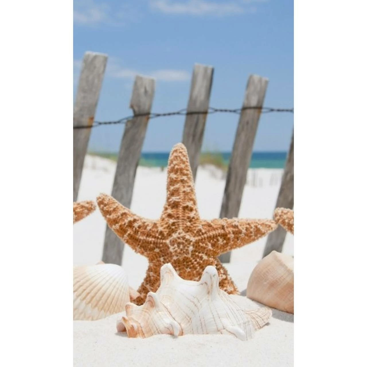 Dimex | Dimex Line | MS-2-0206 | Fototapete | Vlies | Versch. Größen | Strand & Meer | Beige 3 Dimex | Dimex Line | MS-2-0206 | Fototapete | Vlies | Versch. Größen | Strand & Meer | Beige