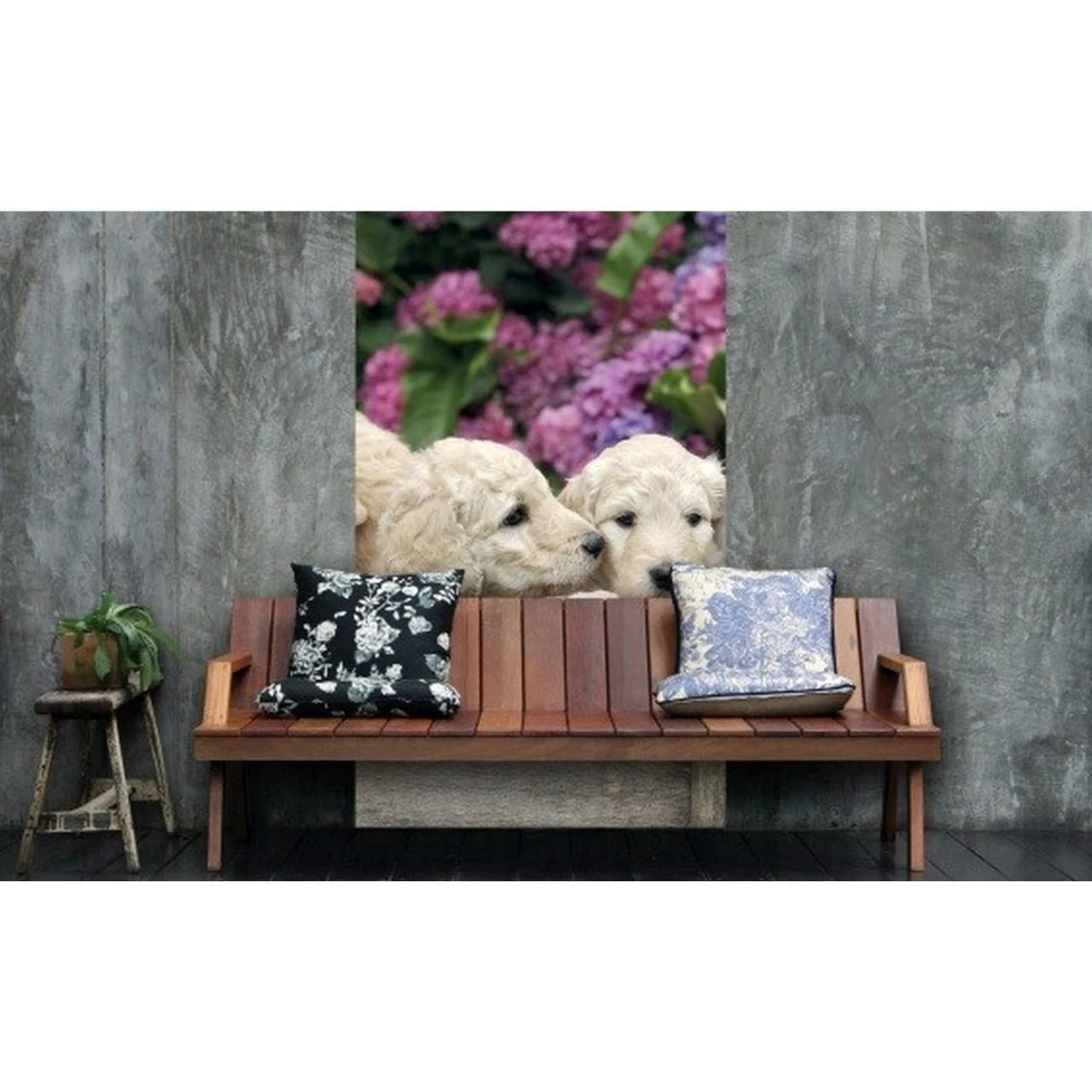 Dimex | Dimex Line | MS-2-0224 | Fototapete | Vlies | Versch. Größen | Tiere | Beige 4 Dimex | Dimex Line | MS-2-0224 | Fototapete | Vlies | Versch. Größen | Tiere | Beige – Bild 2