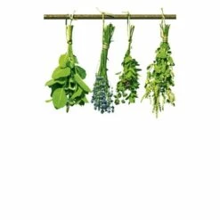 Dimex | Dimex Line | MS-2-0240 | Fototapete | Vlies | Versch. Größen | Küche | Grün